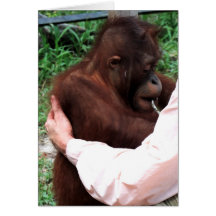 Consolation Hug for Challenging Times Greeting Card