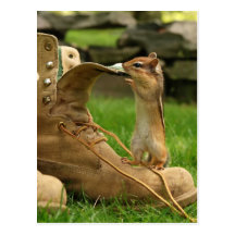Construction Boot Chipmunk Postcard