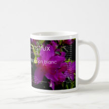 Construx Wine Label 2007 Mug