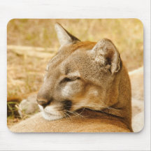 Cool Cat Mouse Pad