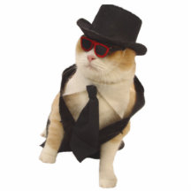 Cool Cat Photo Cut Outs
