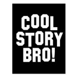 Cool Story Bro! Post Card