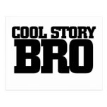 Cool Story Bro Postcard