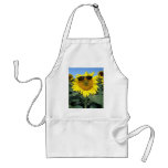 Cool Sun Aprons