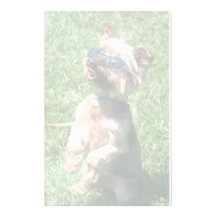 Cool Yorkshire Terrier letterhead Personalized Stationery