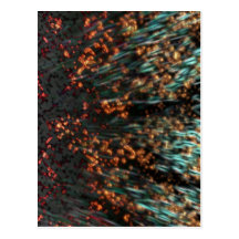 Copper Borealis Post Cards