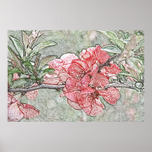 Coral quince poster