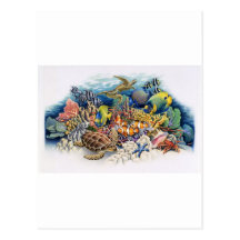 Coral Waters With Tropical Fish Postcards