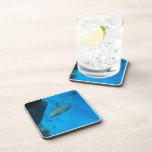 Cork Coaster - Customized