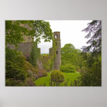 Cork, Ireland. The infamous Blarney Castle 2 Print