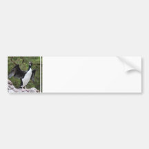 Cormorant Bumper Sticker