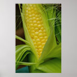 Corn on the cob print