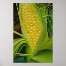 Corn on the cob print