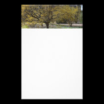 Cornelian Cherry Dogwood Stationery stationery