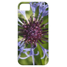 Cornflower Case For The iPhone 5