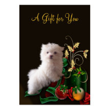 Corporate Holiday Gift Certificates Business Card