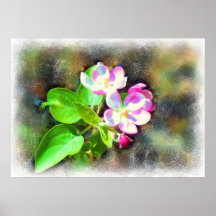 Cosmic Blossoms poster
