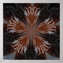 Cosmic Flower Poster