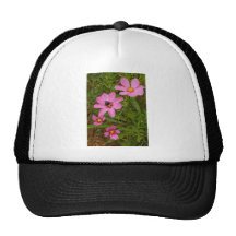 Cosmo flower with bee trucker hats