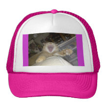 COSMO LION YAWN TRUCKER HATS