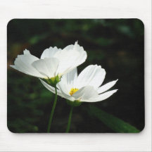 Cosmos Daisies Mousepad