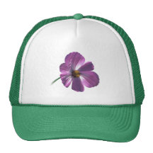 Cosmos Flower Mesh Hats