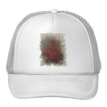 Cosmos HaT