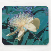 Cosmos Mouse Pad