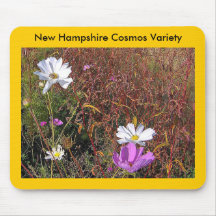 Cosmos, New Hampshire Cosmos Variety Mousepad