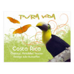 Costa Rican Pura Vida Postcard