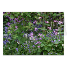 Cottage Garden Greeting Card