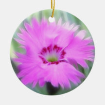 Cottage Pinks - Dianthus Ornament