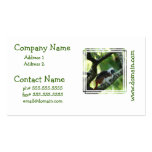 Cotton Topped Tamarin Business Cards business cards