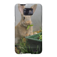 Cottontail Rabbit Phone Case Samsung Galaxy S Cover