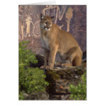 Cougar and Pictographs Greeting Cards