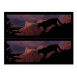 Cougar and the Grand Canyon Book markers Postcard