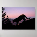 Cougar Poster