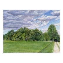 Country Field Postcard