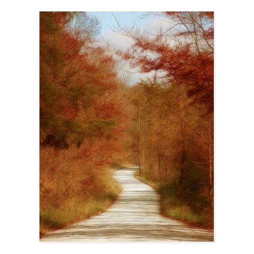 Country Road - Fall Colours Post Cards