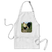 Country Road Gamecock Aprons