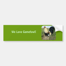 Country Road Gamecock Bumper Sticker