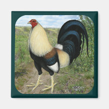 Country Road Gamecock Fridge Magnets