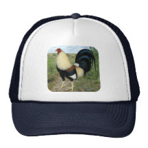 Country Road Gamecock Mesh Hats