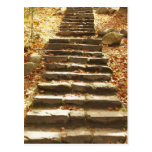 Country Stairway Post Cards
