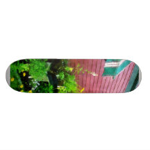 Country Store Skate Decks