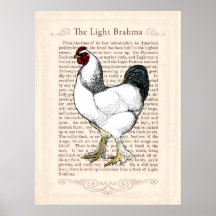Country Style Kitchen Chicken Wall Art Poster