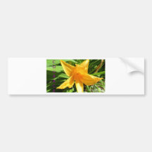 Courage Bumper Sticker
