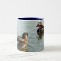 Courting Mandarin ducks Coffee Mug