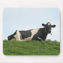 Cow Sitting, Relaxing and Looking at You! Mousepad