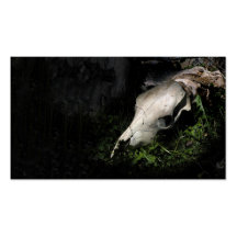 Cow skull profile or business card